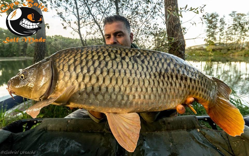 Carpfishing la modul meu 2015 - 120634471040067919350737613891260090601642n.jpg